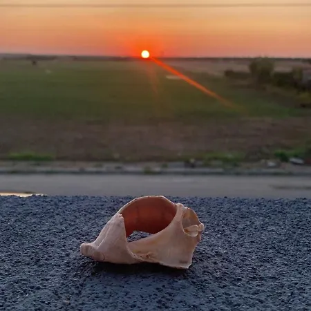 Summer * Costinesti