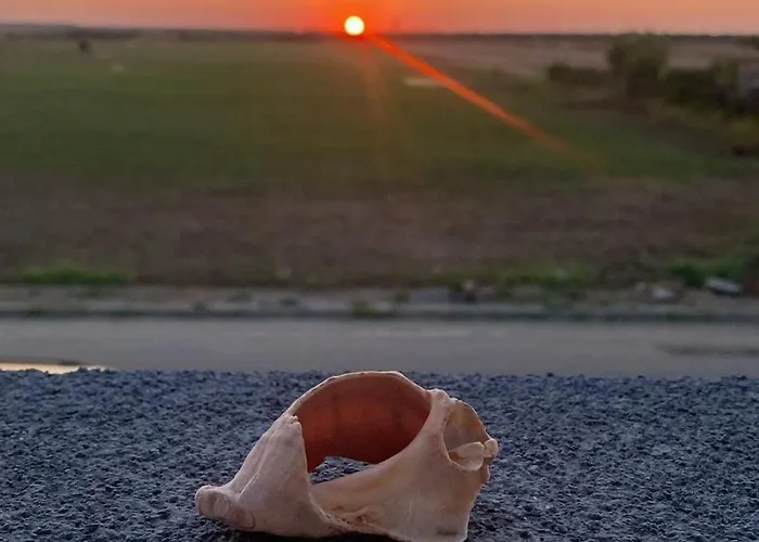 Summer * קוסטינסטי